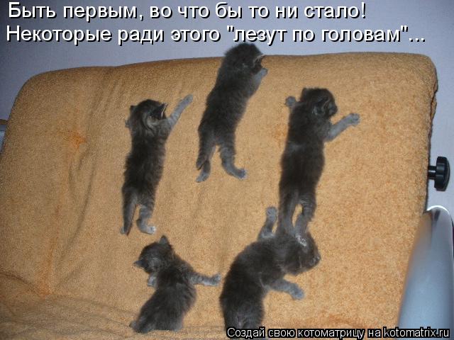 Быть первым, во что бы то ни стало! Некоторые ради этого "лезут по головам"...... Котоматрица: Быть первым, во что бы то ни стало! Некоторые ради этого "лезут по головам"...