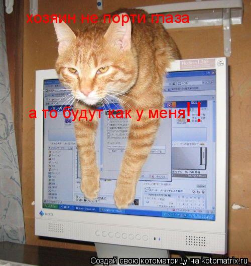 Котоматрица: хозяин не порти глаза а то будут как у меня !!