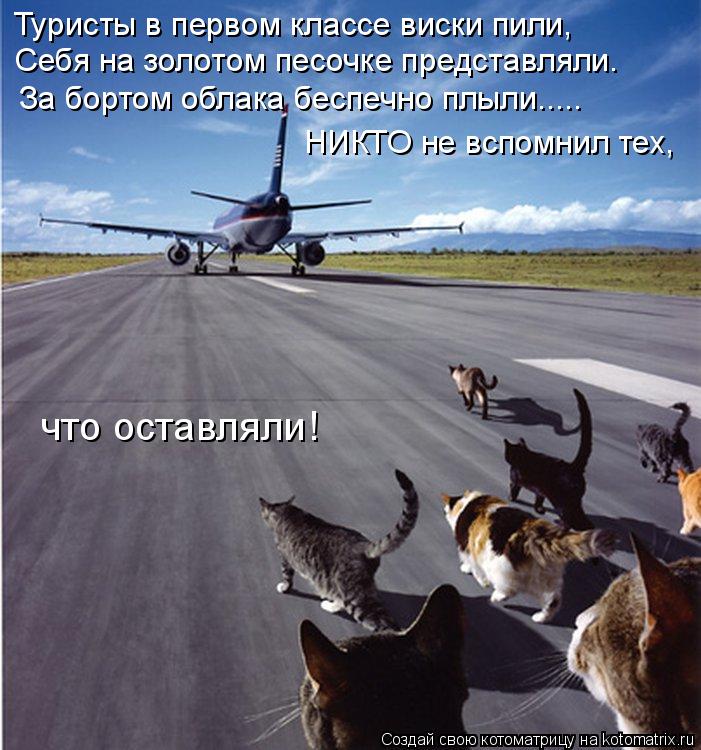Туристы в первом классе виски пили, Себя на золотом песочке представляли. За бортом облака беспечно п... Котоматрица: Туристы в первом классе виски пили, Себя на золотом песочке представляли. За бортом облака беспечно плыли..... НИКТО не вспомнил тех, что оста