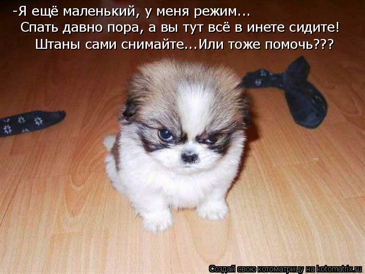 -Я ещё маленький, у меня режим... Спать давно пора, а вы тут всё в инете сидите! Штаны сами снимайте.... Котоматрица: -Я ещё маленький, у меня режим... Спать давно пора, а вы тут всё в инете сидите! Штаны сами снимайте...Или тоже помочь???