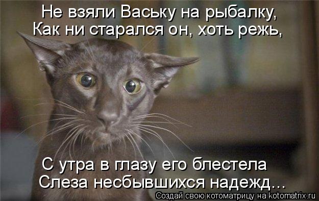 Не взяли Ваську на рыбалку, С утра в глазу его блестела Слеза несбывшихся надежд... Как ни старался о... Котоматрица: Не взяли Ваську на рыбалку, С утра в глазу его блестела Слеза несбывшихся надежд... Как ни старался он, хоть режь,