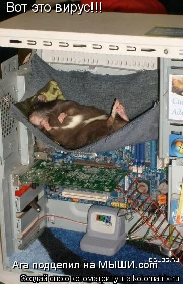 Вот это вирус!!! Ага подцепил на МЫШИ.com... Котоматрица: Вот это вирус!!! Ага подцепил на МЫШИ.com