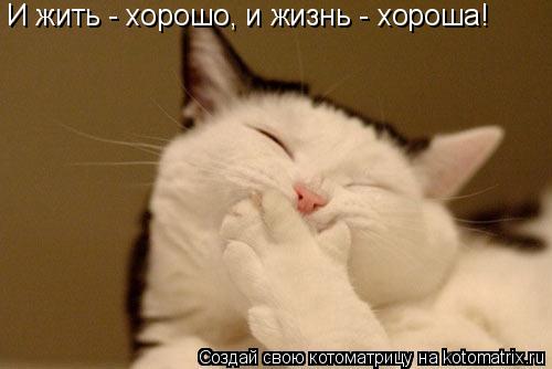 И жить - хорошо, и жизнь - хороша!... Котоматрица: И жить - хорошо, и жизнь - хороша!