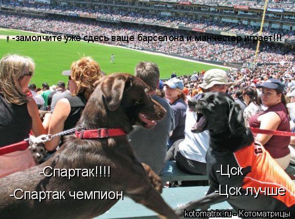 -Спартак чемпион -Цск лучше -Спартак!!!! -Цск -замолчите уже сдесь ваще барселона и манчестер играет!... Котоматрица: -Спартак чемпион -Цск лучше -Спартак!!!! -Цск -замолчите уже сдесь ваще барселона и манчестер играет!!!