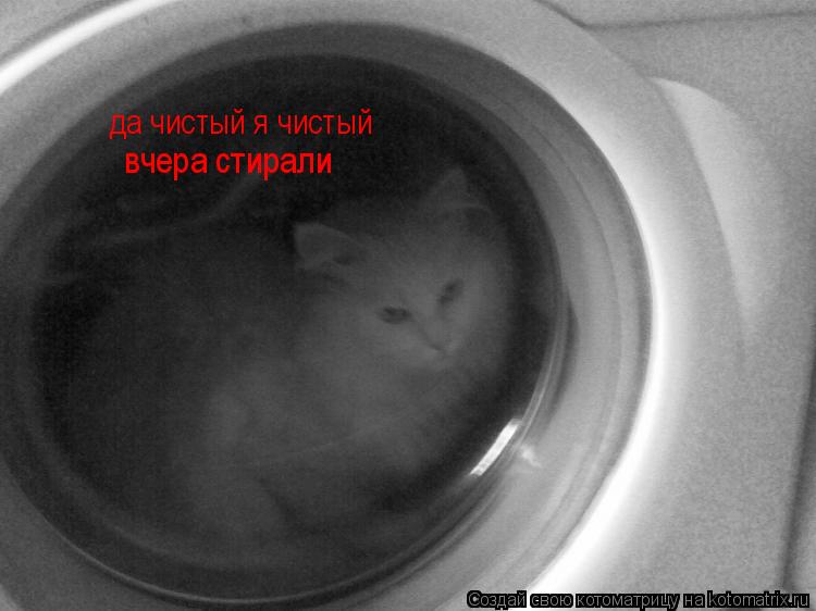 да чистый я чистый вчера стирали... Котоматрица: да чистый я чистый вчера стирали
