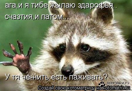 ага,и я тибе жылаю здарофья.. счазтия,и патом... У тя чё-нить есть паживать?... Котоматрица: ага,и я тибе жылаю здарофья.. счазтия,и патом... У тя чё-нить есть паживать?