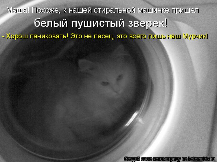Маша! Похоже, к нашей стиральной машинке пришел белый пушистый зверек! - Хорош паниковать! Это не пес... Котоматрица: Маша! Похоже, к нашей стиральной машинке пришел белый пушистый зверек! - Хорош паниковать! Это не песец, это всего лишь наш Мурчик!