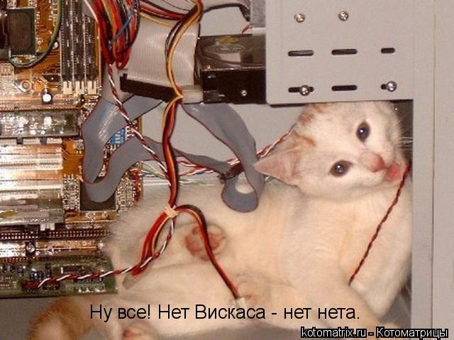 Ну все! Нет Вискаса - нет нета.... Котоматрица: Ну все! Нет Вискаса - нет нета.