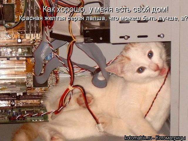 Как хорошо, у меня есть свой дом! Красная желтая серая лапша, что можеш быть лучше, а???... Котоматрица: Как хорошо, у меня есть свой дом! Красная желтая серая лапша, что можеш быть лучше, а???