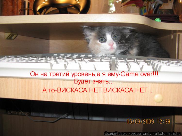 Он на третий уровень,а я ему-Game over!!! А то-ВИСКАСА НЕТ,ВИСКАСА НЕТ... Будет знать...... Котоматрица: Он на третий уровень,а я ему-Game over!!! А то-ВИСКАСА НЕТ,ВИСКАСА НЕТ... Будет знать...