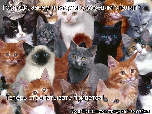 Господи, зачем я квартиру соседям спалил? Теперь отрабатывать придется!... Котоматрица: Господи, зачем я квартиру соседям спалил? Теперь отрабатывать придется!