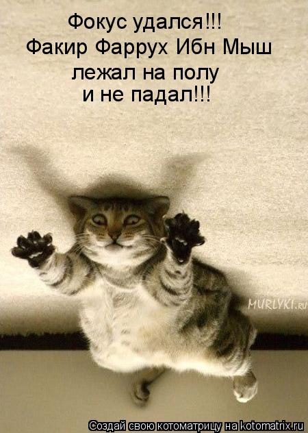 Фокус удался!!! Факир Фаррух Ибн Мыш лежал на полу и не падал!!!... Котоматрица: Фокус удался!!! Факир Фаррух Ибн Мыш лежал на полу и не падал!!!
