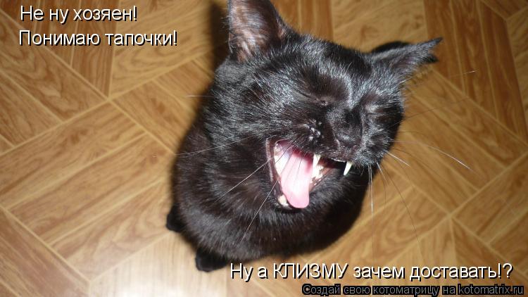 Не ну хозяен! Понимаю тапочки! Ну а КЛИЗМУ зачем доставать!?... Котоматрица: Не ну хозяен! Понимаю тапочки! Ну а КЛИЗМУ зачем доставать!?