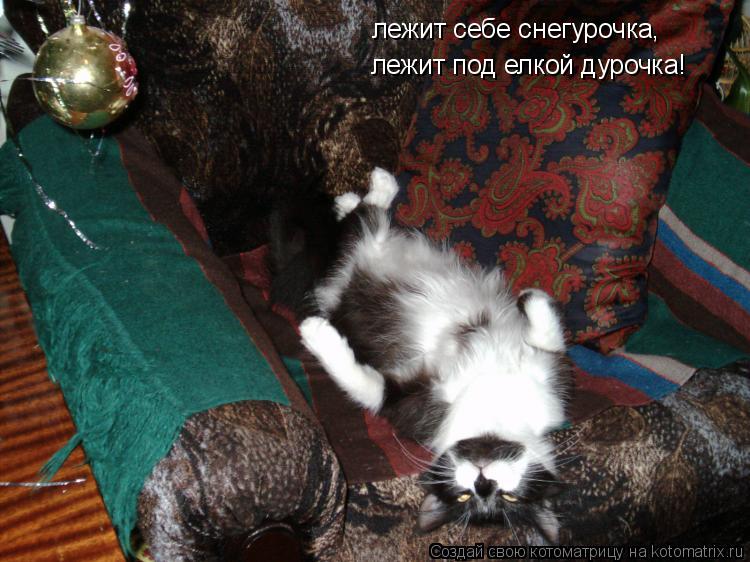 лежит себе снегурочка, лежит себе снегурочка, лежит под елкой дурочка!... Котоматрица: лежит себе снегурочка, лежит себе снегурочка, лежит под елкой дурочка!