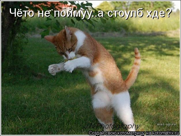 Чёто не поймуу..а стоулб хде?... Котоматрица: Чёто не поймуу..а стоулб хде?