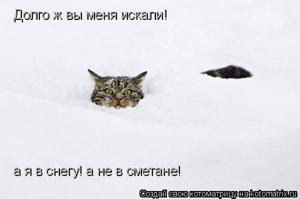 Котоматрица: Долго ж вы меня искали!  а я в снегу! а не в сметане!