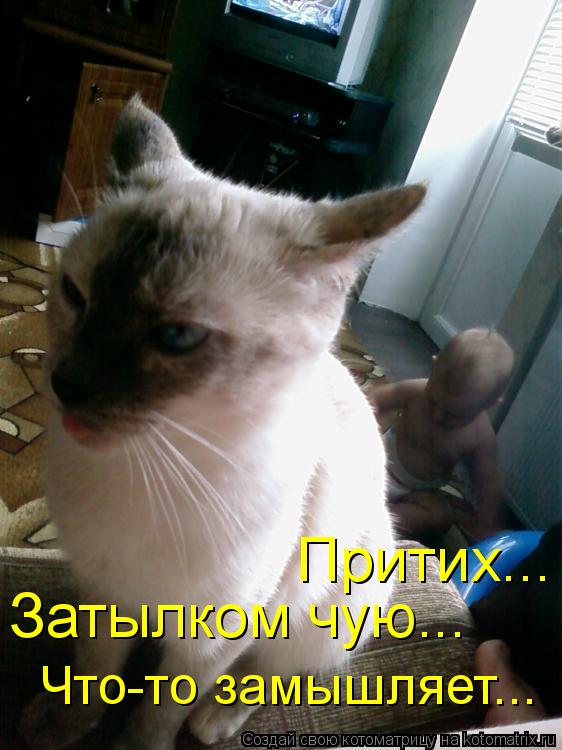 Котоматрица: Притих... Затылком чую... Что-то замышляет...