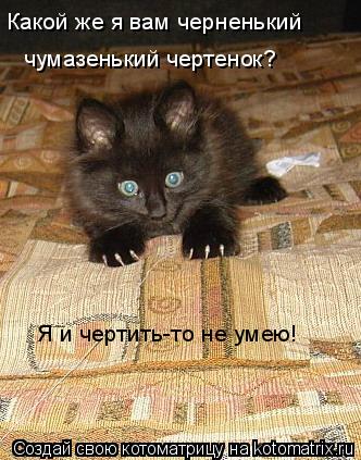 Котоматрица: чумазенький чертенок?  Какой же я вам черненький  Я и чертить-то не умею!
