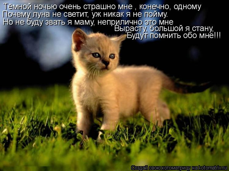 Котоматрица: Тёмной ночью очень страшно мне , конечно, одному Почему луна не светит, уж никак я не пойму. Но не буду звать я маму, неприлично это мне Выраст