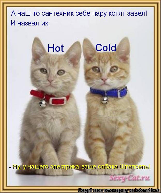 Котоматрица: А наш-то сантехник себе пару котят завел! И назвал их Cold Hot       - Ну, у нашего электрика ваще собака Штепсель!