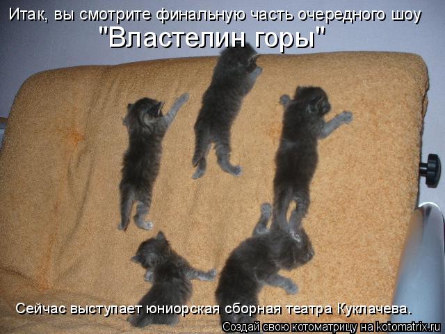 Котоматрица: Итак, вы смотрите финальную часть очередного шоу "Властелин горы" Сейчас выступает юниорская сборная театра Куклачева.