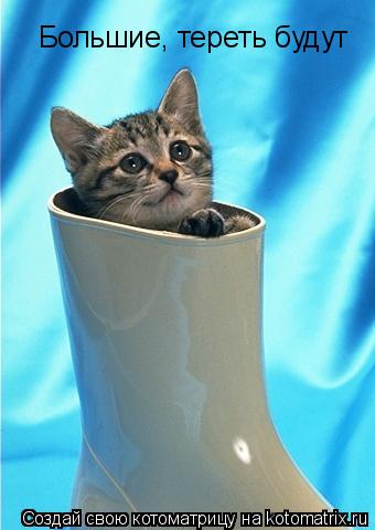 Котоматрица: Большие, тереть будут