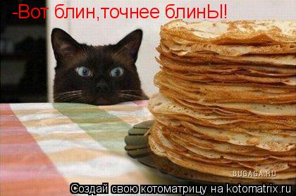 Котоматрица: -Вот блин,точнее блинЫ!