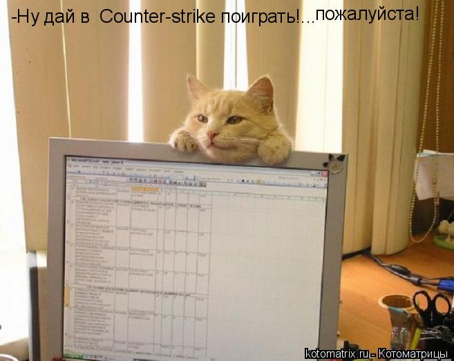 Котоматрица: -Ну дай в  Counter-strike поиграть!... пожалуйста!