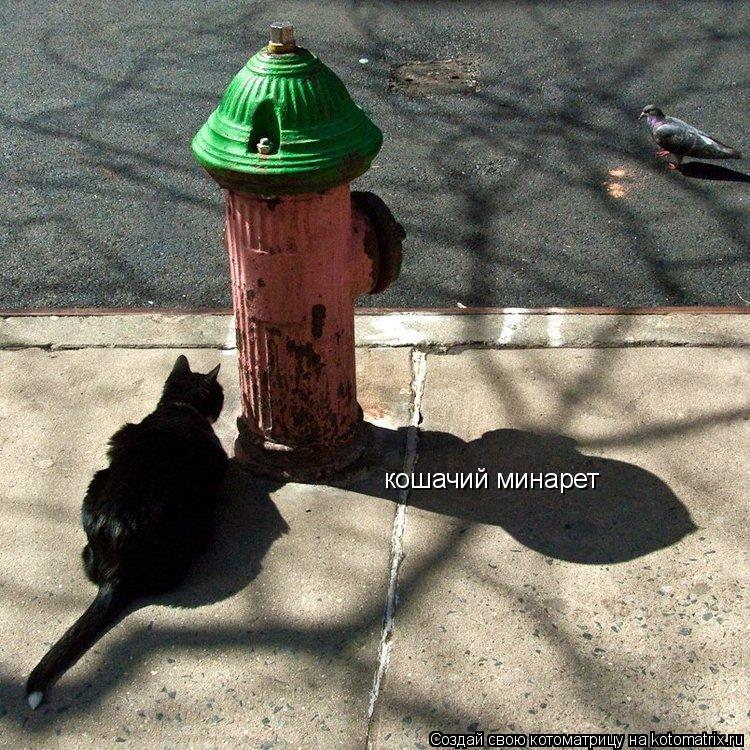 Котоматрица: кошачий минарет