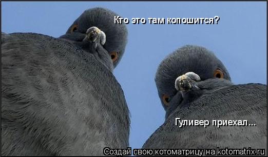 Котоматрица: Кто это там копошится? Гуливер приехал...