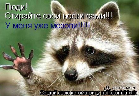 Люди! Стирайте свои носки сами!!! У меня уже мозоли!!!!!... Котоматрица: Люди! Стирайте свои носки сами!!! У меня уже мозоли!!!!!