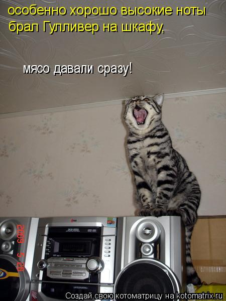 особенно хорошо высокие ноты брал Гулливер на шкафу, мясо давали сразу!... Котоматрица: особенно хорошо высокие ноты брал Гулливер на шкафу, мясо давали сразу!
