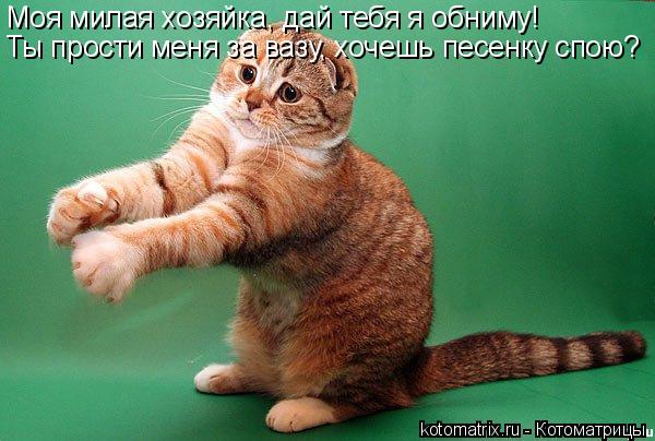 Моя милая хозяйка, дай тебя я обниму! Ты прости меня за вазу, хочешь песенку спою?... Котоматрица: Моя милая хозяйка, дай тебя я обниму! Ты прости меня за вазу, хочешь песенку спою?