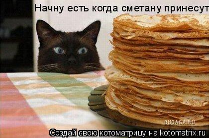 Начну есть когда сметану принесут.... Котоматрица: Начну есть когда сметану принесут.