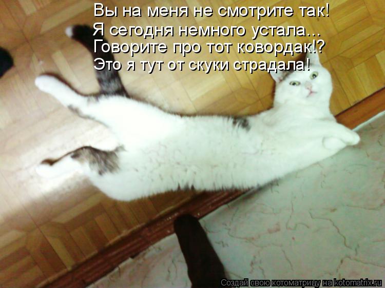 Вы на меня не смотрите так! Я сегодня немного устала... Говорите про тот ковордак!? Это я тут от скук... Котоматрица: Вы на меня не смотрите так! Я сегодня немного устала... Говорите про тот ковордак!? Это я тут от скуки страдала!