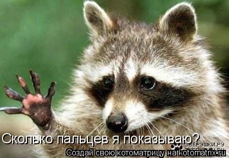 Сколько пальцев я показываю?... Котоматрица: Сколько пальцев я показываю?