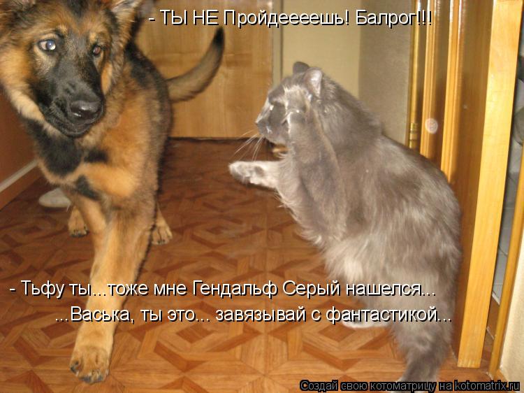 - Тьфу ты...тоже мне Гендальф Серый нашелся... ...Васька, ты это... завязывай с фантастикой... - ТЫ Н... Котоматрица: - Тьфу ты...тоже мне Гендальф Серый нашелся... ...Васька, ты это... завязывай с фантастикой... - ТЫ НЕ Пройдеееешь! Балрог!!!