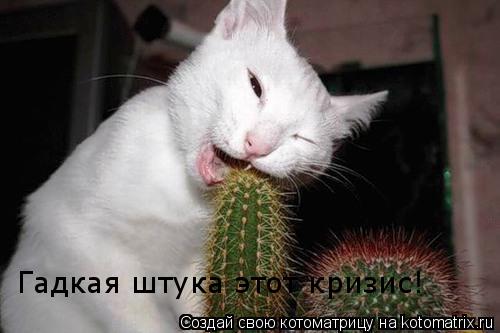 Гадкая штука этот кризис!... Котоматрица: Гадкая штука этот кризис!