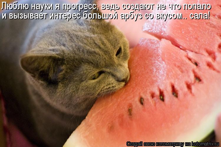 Люблю науки я прогресс, ведь создают не что попало и вызывает интерес большой арбуз со вкусом.. сала!... Котоматрица: Люблю науки я прогресс, ведь создают не что попало и вызывает интерес большой арбуз со вкусом.. сала!