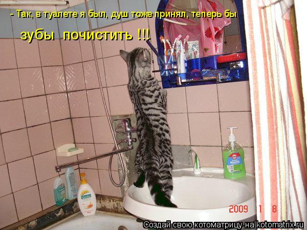Котоматрица: - Так, в туалете я был, душ тоже принял, теперь бы    зубы  почистить !!!