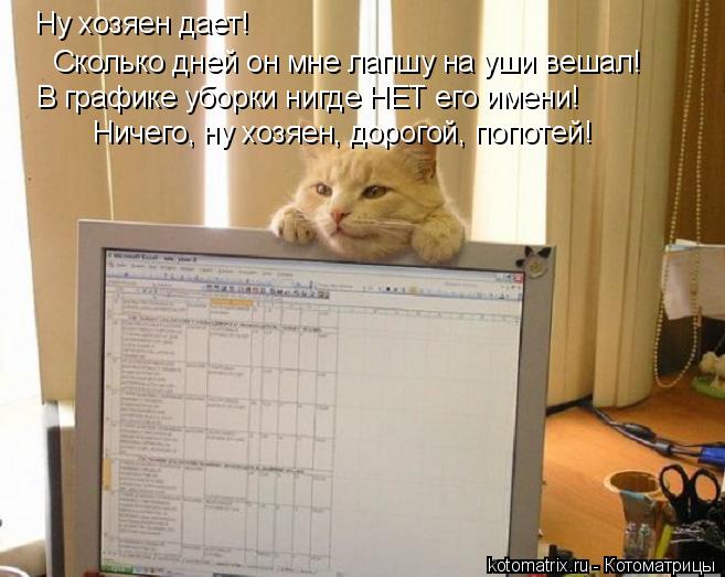 Котоматрица: Ну хозяен дает!  Сколько дней он мне лапшу на уши вешал!  В графике уборки нигде НЕТ его имени! Ничего, ну хозяен, дорогой, попотей!