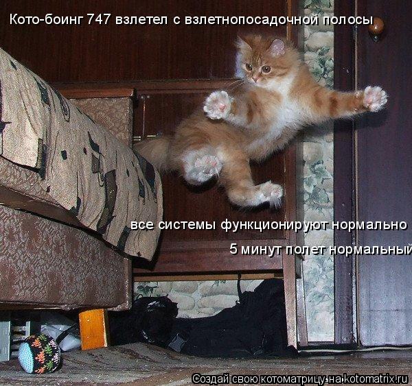 Котоматрица: Кото-боинг 747 взлетел с взлетнопосадочной полосы все системы функционируют нормально 5 минут полет нормальный