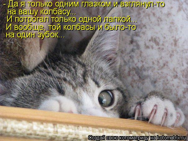 - Да я только одним глазком и взглянул-то на вашу колбасу... И потрогал только одной лапкой... И вооб... Котоматрица: - Да я только одним глазком и взглянул-то на вашу колбасу... И потрогал только одной лапкой... И вообще, той колбасы и было-то на один зубок...