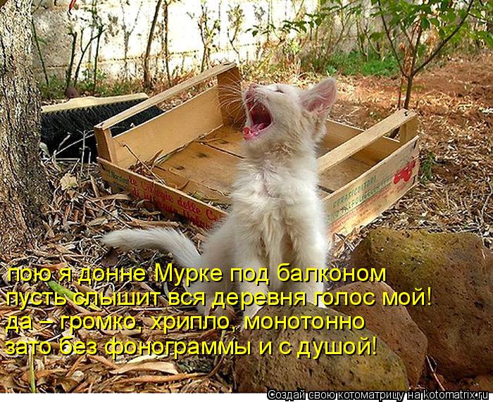 пою я донне Мурке под балконом пусть слышит вся деревня голос мой! да – громко, хрипло, монотон... Котоматрица: пою я донне Мурке под балконом пусть слышит вся деревня голос мой! да – громко, хрипло, монотонно зато без фонограммы и с душой!