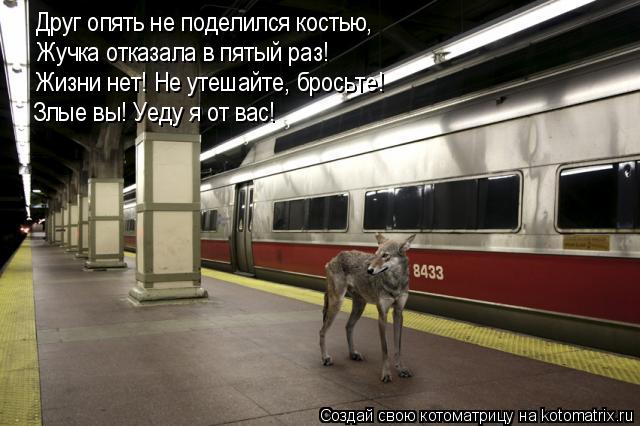 Друг опять не поделился костью, Жучка отказала в пятый раз! Жизни нет! Не утешайте, бросьте! Злые вы!... Котоматрица: Друг опять не поделился костью, Жучка отказала в пятый раз! Жизни нет! Не утешайте, бросьте! Злые вы! Уеду я от вас!