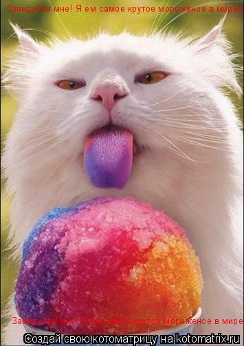 Котоматрица: Завидуйте мне! Я ем самое крутое мороженое в мире!) Завидуйте мне! Я ем самое крутое мороженое в мире!)
