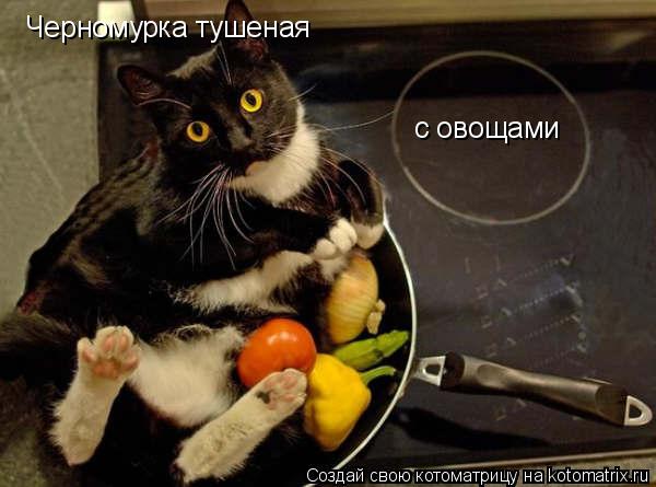 Котоматрица: Черномурка тушеная  с овощами