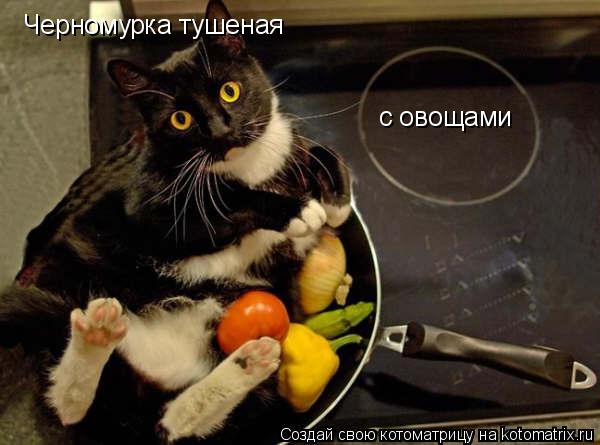 Котоматрица: Черномурка тушеная  с овощами