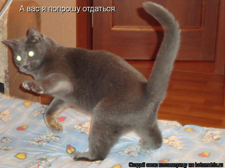 Котоматрица: А вас я попрошу отдаться.