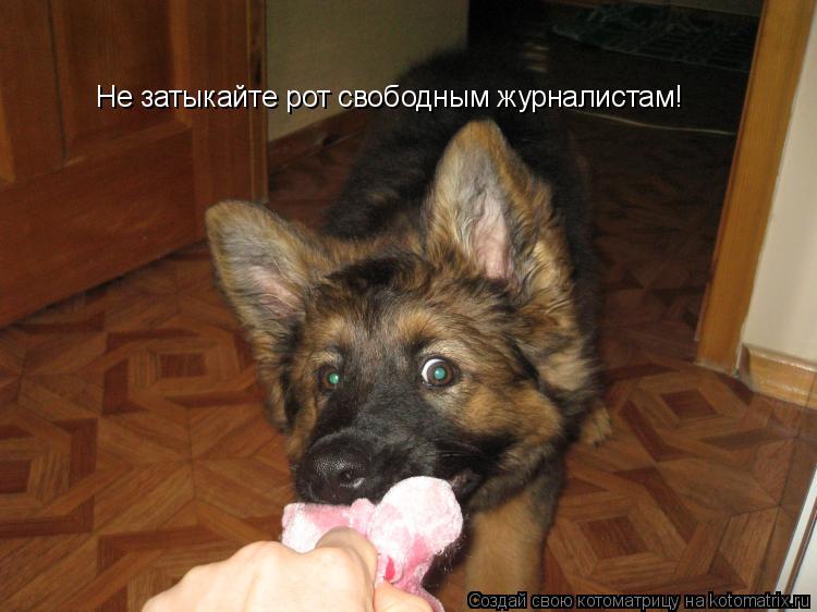 Котоматрица: Не затыкайте рот свободным журналистам!